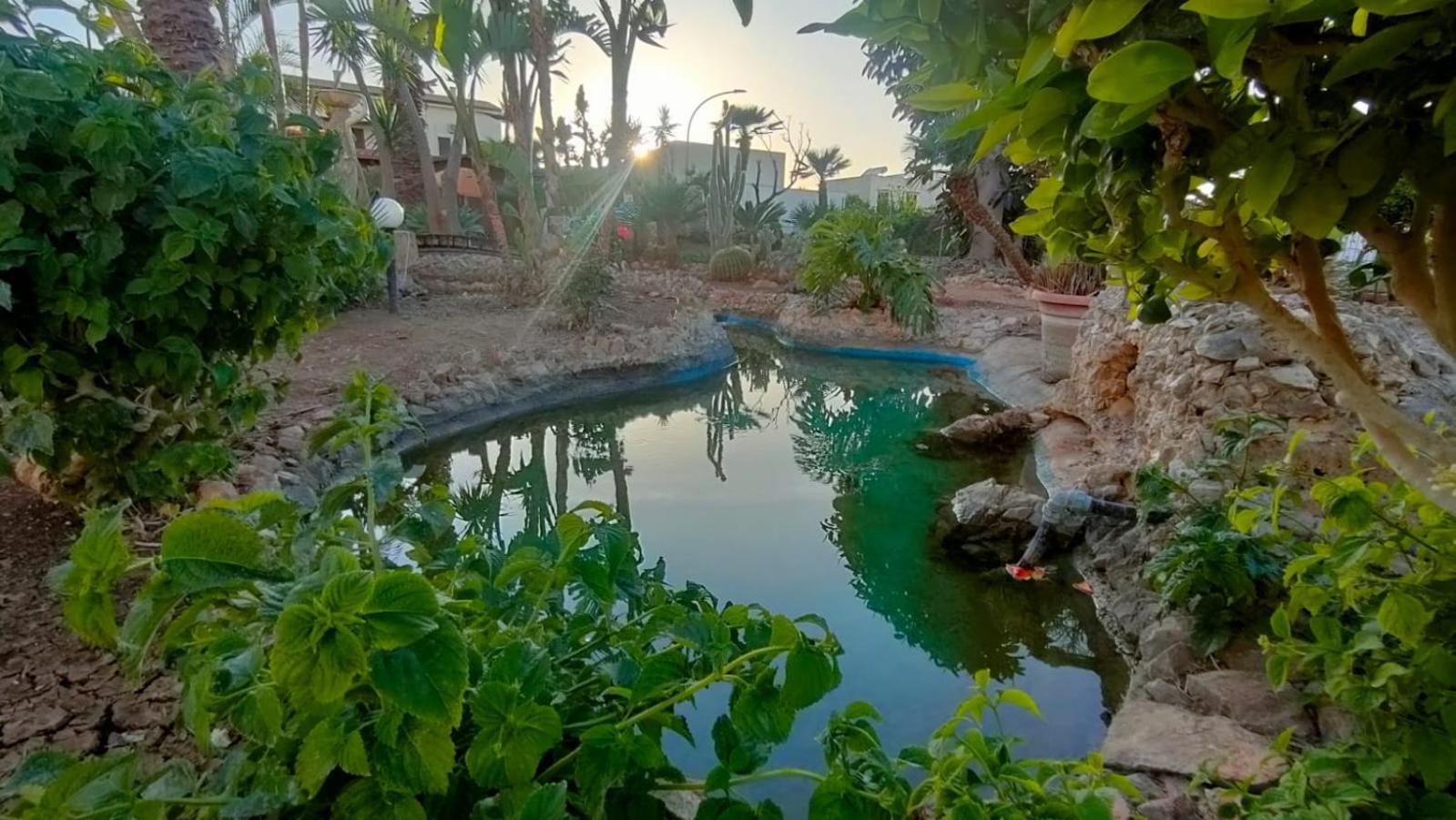 Stella Del Mare San Vito Lo Capo Appartement Buitenkant foto